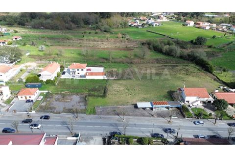 Helårsgrund i Valenca, Viana do Castelo, Valenca - € 530.000 | Ref: 2797 - foto 5