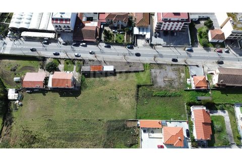 Helårsgrund i Valenca, Viana do Castelo, Valenca - € 530.000 | Ref: 2797 - foto 6
