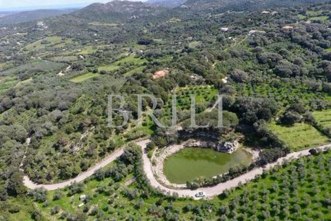 Landejendom i Palau, Sassari, Palau - € 4.200.000 | Ref: OT-007IS - foto 1