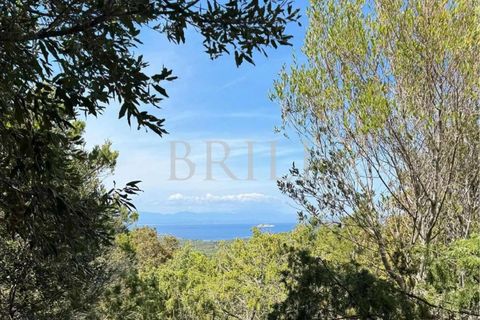 Landejendom i Palau, Sassari, Palau - € 4.200.000 | Ref: OT-007IS - foto 6