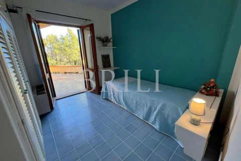 Landejendom i Palau, Sassari, Palau - € 4.200.000 | Ref: OT-007IS - foto 17