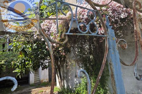 Villa i Olaia e Paco, Santarem, Olaia e Paco - € 195.000 | Ref: CAS_811 - foto 2