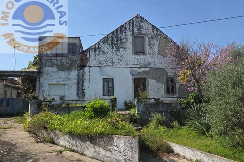 Villa i Olaia e Paco, Santarem, Olaia e Paco - € 195.000 | Ref: CAS_811 - foto 28