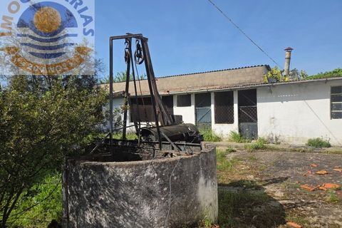 Villa i Olaia e Paco, Santarem, Olaia e Paco - € 195.000 | Ref: CAS_811 - foto 29