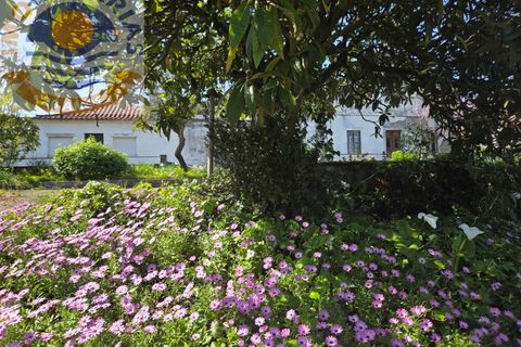Villa i Olaia e Paco, Santarem, Olaia e Paco - € 195.000 | Ref: CAS_811 - foto 30