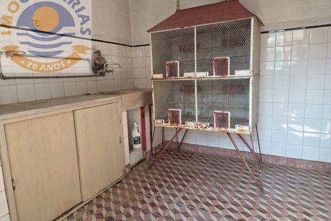 Villa i Olaia e Paco, Santarem, Olaia e Paco - € 195.000 | Ref: CAS_811 - foto 32