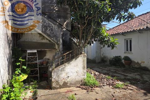 Villa i Olaia e Paco, Santarem, Olaia e Paco - € 195.000 | Ref: CAS_811 - foto 33