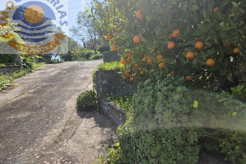Villa i Olaia e Paco, Santarem, Olaia e Paco - € 195.000 | Ref: CAS_811 - foto 34