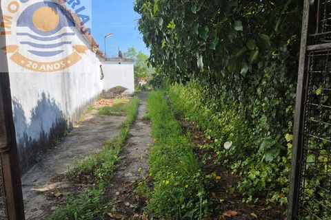 Villa i Olaia e Paco, Santarem, Olaia e Paco - € 195.000 | Ref: CAS_811 - foto 35