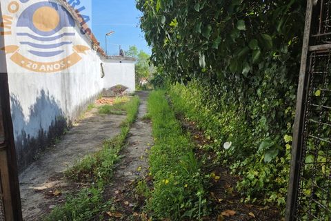 Villa i Olaia e Paco, Santarem, Olaia e Paco - € 195.000 | Ref: CAS_811 - foto 37