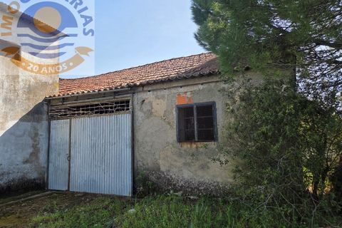 Villa i Olaia e Paco, Santarem, Olaia e Paco - € 195.000 | Ref: CAS_811 - foto 38