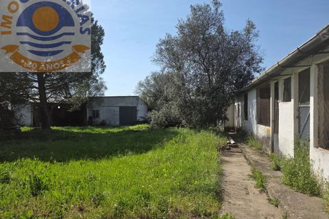 Villa i Olaia e Paco, Santarem, Olaia e Paco - € 195.000 | Ref: CAS_811 - foto 39