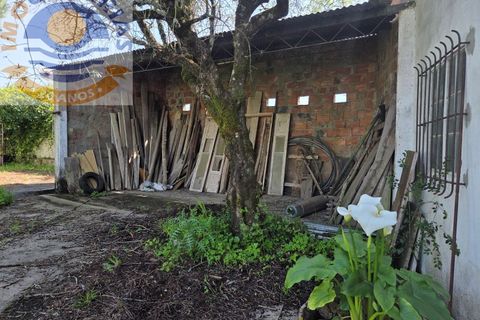 Villa i Olaia e Paco, Santarem, Olaia e Paco - € 195.000 | Ref: CAS_811 - foto 40