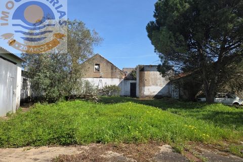 Villa i Olaia e Paco, Santarem, Olaia e Paco - € 195.000 | Ref: CAS_811 - foto 41