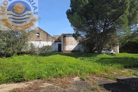 Villa i Olaia e Paco, Santarem, Olaia e Paco - € 195.000 | Ref: CAS_811 - foto 42