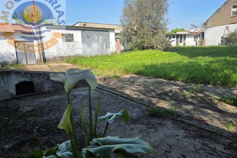 Villa i Olaia e Paco, Santarem, Olaia e Paco - € 195.000 | Ref: CAS_811 - foto 43