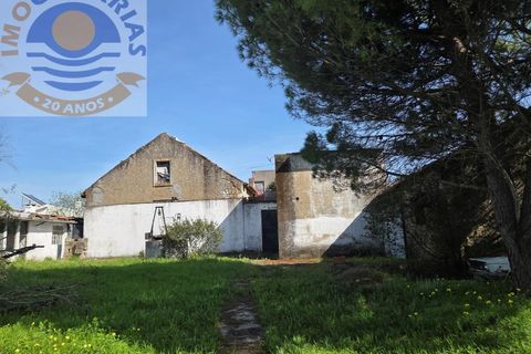 Villa i Olaia e Paco, Santarem, Olaia e Paco - € 195.000 | Ref: CAS_811 - foto 44
