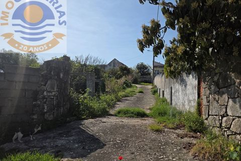 Villa i Olaia e Paco, Santarem, Olaia e Paco - € 195.000 | Ref: CAS_811 - foto 45