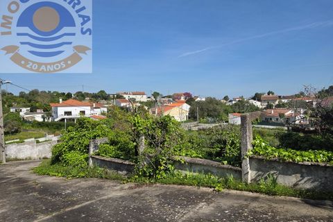 Villa i Olaia e Paco, Santarem, Olaia e Paco - € 195.000 | Ref: CAS_811 - foto 46