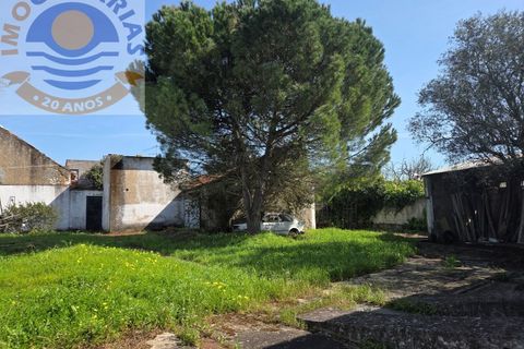 Villa i Olaia e Paco, Santarem, Olaia e Paco - € 195.000 | Ref: CAS_811 - foto 47