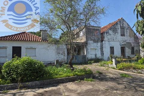 Villa i Olaia e Paco, Santarem, Olaia e Paco - € 195.000 | Ref: CAS_811 - foto 48
