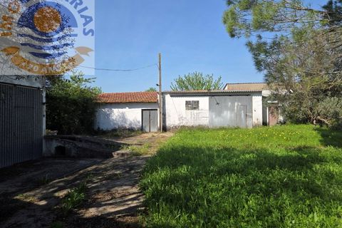 Villa i Olaia e Paco, Santarem, Olaia e Paco - € 195.000 | Ref: CAS_811 - foto 49