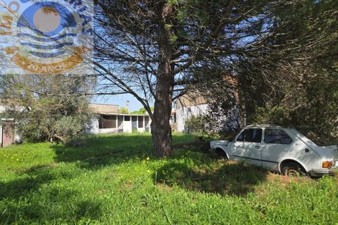 Villa i Olaia e Paco, Santarem, Olaia e Paco - € 195.000 | Ref: CAS_811 - foto 50