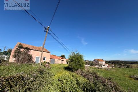 Helårsgrund i Santo Onofre e Serra do Bouro, Leiria, Santo Onofre e Serra do Bouro - € 595.000 | Ref: AO-TER-0011 - foto 6