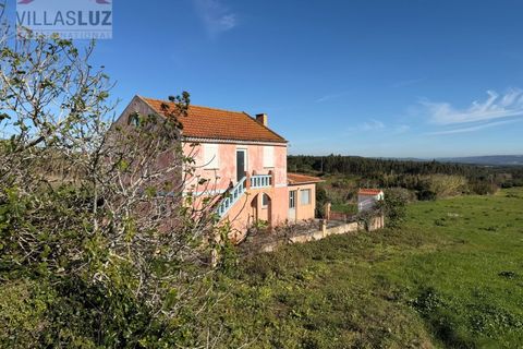 Helårsgrund i Santo Onofre e Serra do Bouro, Leiria, Santo Onofre e Serra do Bouro - € 595.000 | Ref: AO-TER-0011 - foto 8