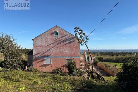 Helårsgrund i Santo Onofre e Serra do Bouro, Leiria, Santo Onofre e Serra do Bouro - € 595.000 | Ref: AO-TER-0011 - foto 16