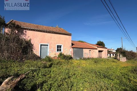 Helårsgrund i Santo Onofre e Serra do Bouro, Leiria, Santo Onofre e Serra do Bouro - € 595.000 | Ref: AO-TER-0011 - foto 20