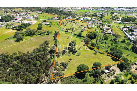 Helårsgrund i Coruche, Santarem, Coruche - € 315.000 | Ref: TER_158 - foto 2