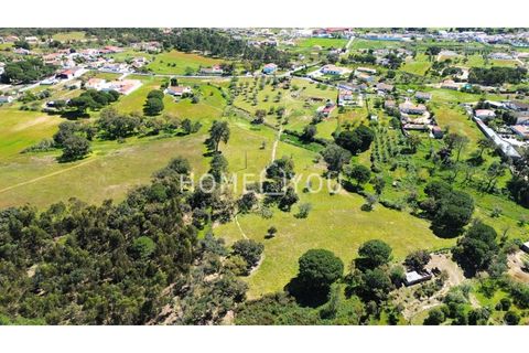 Helårsgrund i Coruche, Santarem, Coruche - € 315.000 | Ref: TER_158 - foto 5