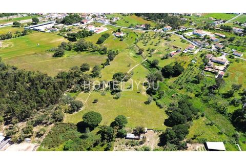Helårsgrund i Coruche, Santarem, Coruche - € 315.000 | Ref: TER_158 - foto 7