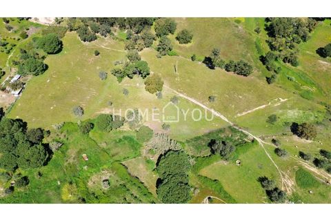 Helårsgrund i Coruche, Santarem, Coruche - € 315.000 | Ref: TER_158 - foto 9