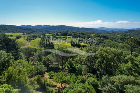 Villa i La Garde-Freinet, Var, La Garde-Freinet - € 1.590.000 | Ref: 86875930 - foto 25