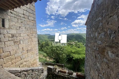 Villa a Les Vans, Ardeche, Les Vans - € 270.000 | Ref: 6470-TEISSIERLESVANS07 - foto 9