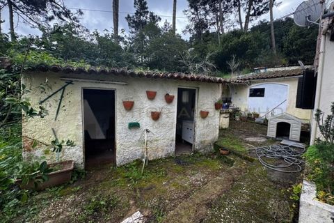 Villa i Almocageme, Lisbon, Almocageme - € 375.000 | Ref: CAS_137 - foto 2