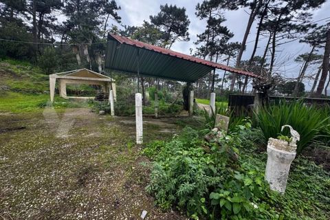 Villa i Almocageme, Lisbon, Almocageme - € 375.000 | Ref: CAS_137 - foto 3