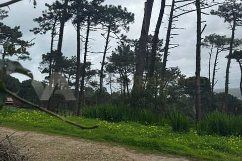 Villa i Almocageme, Lisbon, Almocageme - € 375.000 | Ref: CAS_137 - foto 14