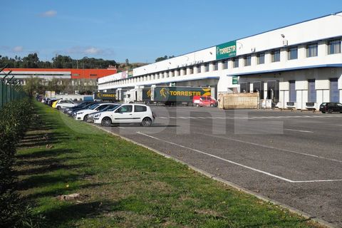 L'establiment comercial a Azambuja, Lisbon, Azambuja - € 30.685/mes | Ref: MAG_1142 (2) - foto 2
