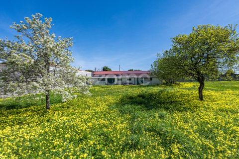Villa i Canidelo, Porto, Canidelo - € 850.000 | Ref: ZMPT587271 - foto 35