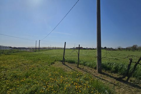 Villa i Monselice, Padua, Monselice - € 115.000 | Ref: CS 890 - foto 18