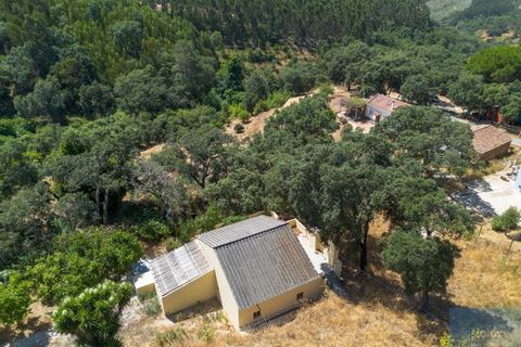 Villa i Marmelete, Faro, Marmelete - € 365.000 | Ref: MORDQ003 - foto 32