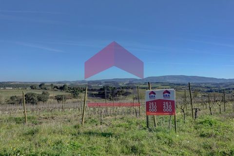 Helårsgrund i Cadaval, Lisbon, Cadaval - € 253.500 | Ref: 130260060 - foto 4