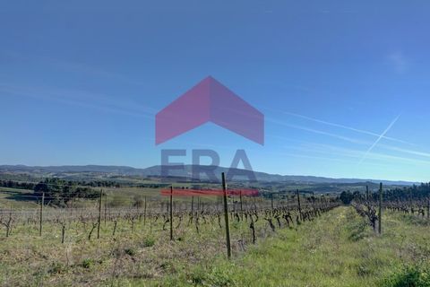 Helårsgrund i Cadaval, Lisbon, Cadaval - € 253.500 | Ref: 130260060 - foto 5