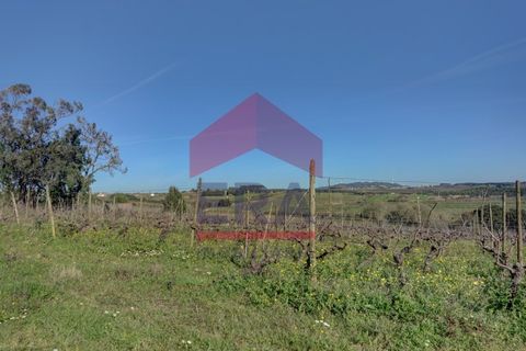 Helårsgrund i Cadaval, Lisbon, Cadaval - € 253.500 | Ref: 130260060 - foto 7