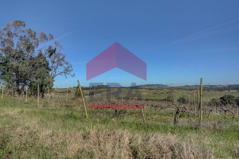 Helårsgrund i Cadaval, Lisbon, Cadaval - € 253.500 | Ref: 130260060 - foto 8