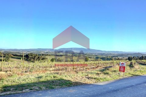 Helårsgrund i Cadaval, Lisbon, Cadaval - € 253.500 | Ref: 130260060 - foto 1