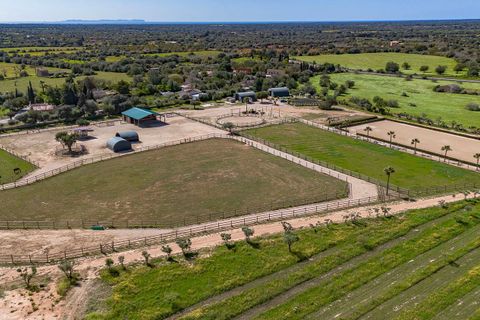 Villa i Llucmajor, Mallorca, Llucmajor - € 6.300.000 | Ref: 32702 - foto 24